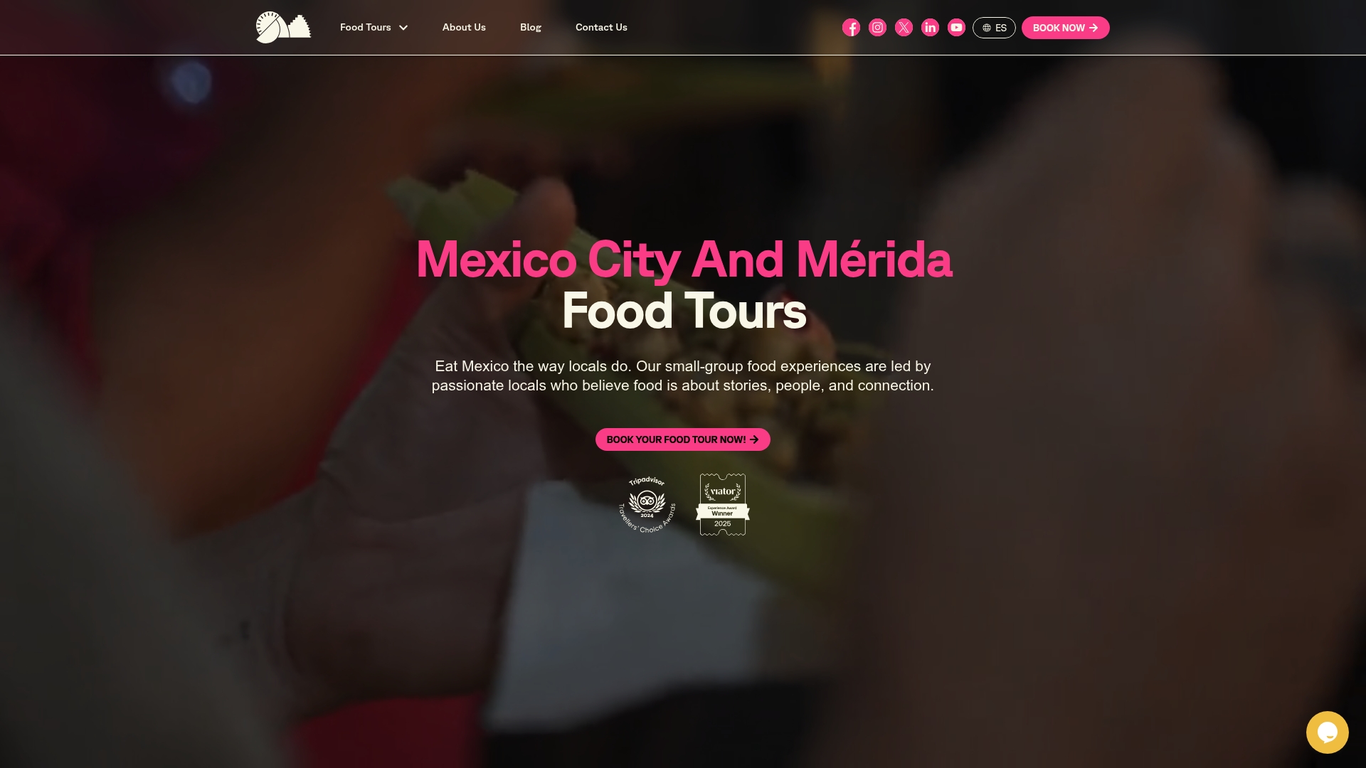 https://saboresmexicofoodtours.com