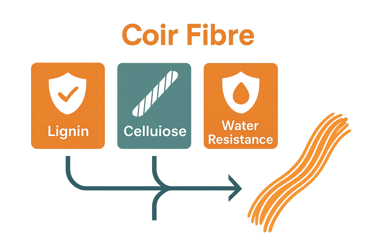 Three visual blocks: lignin, cellulose, water-resistant properties of coir fiber