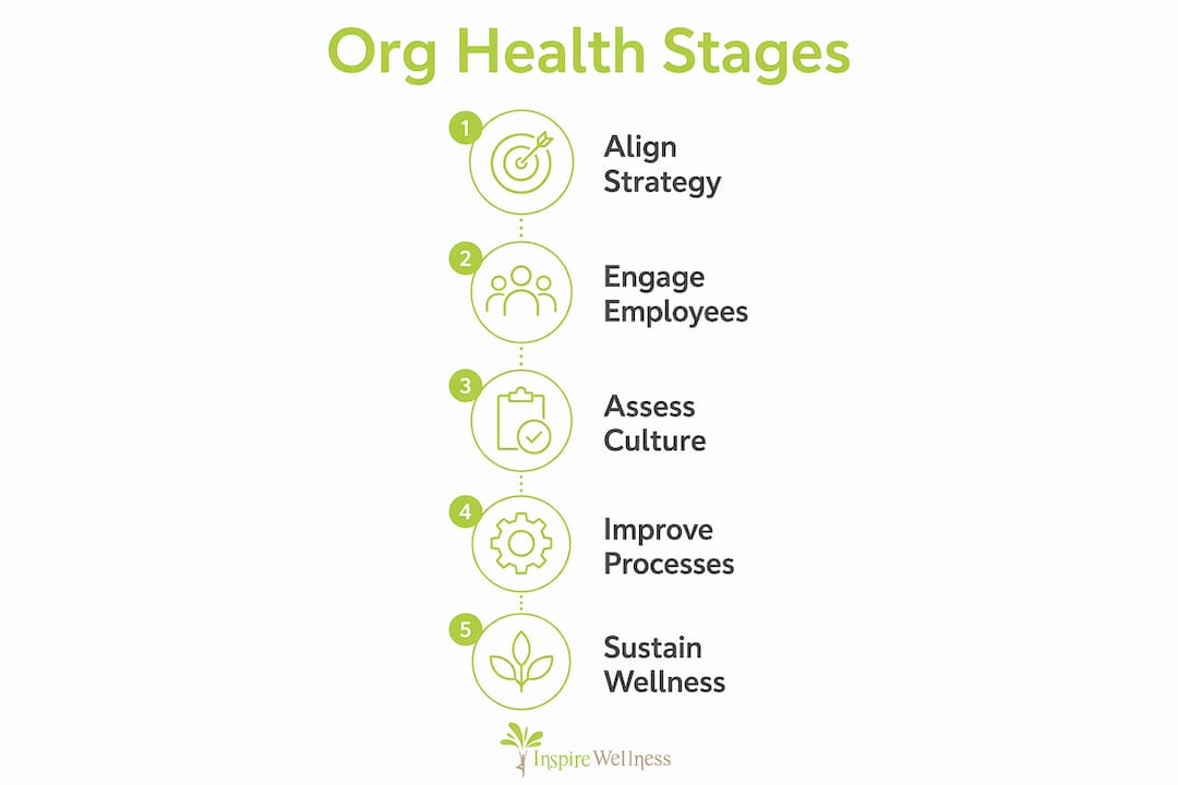 Infographic showing five key stages of organizational health