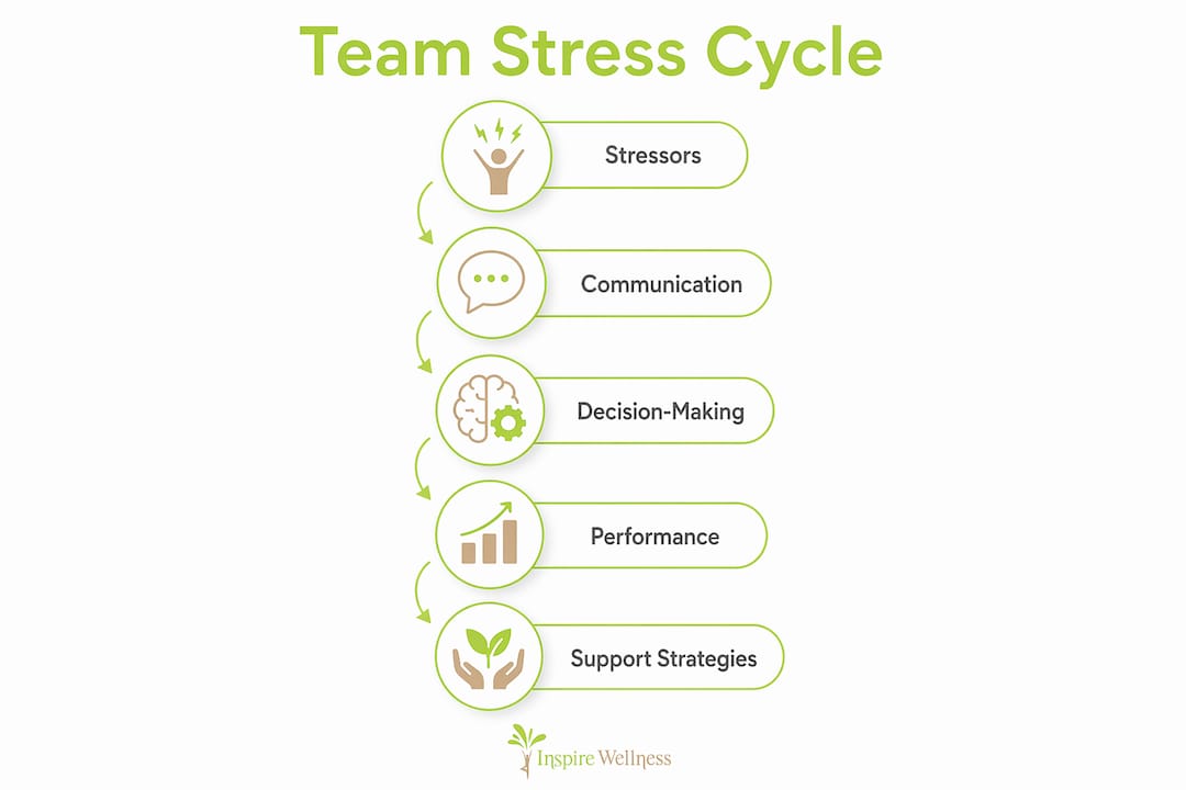 Infographic showing stress cycle and support steps
