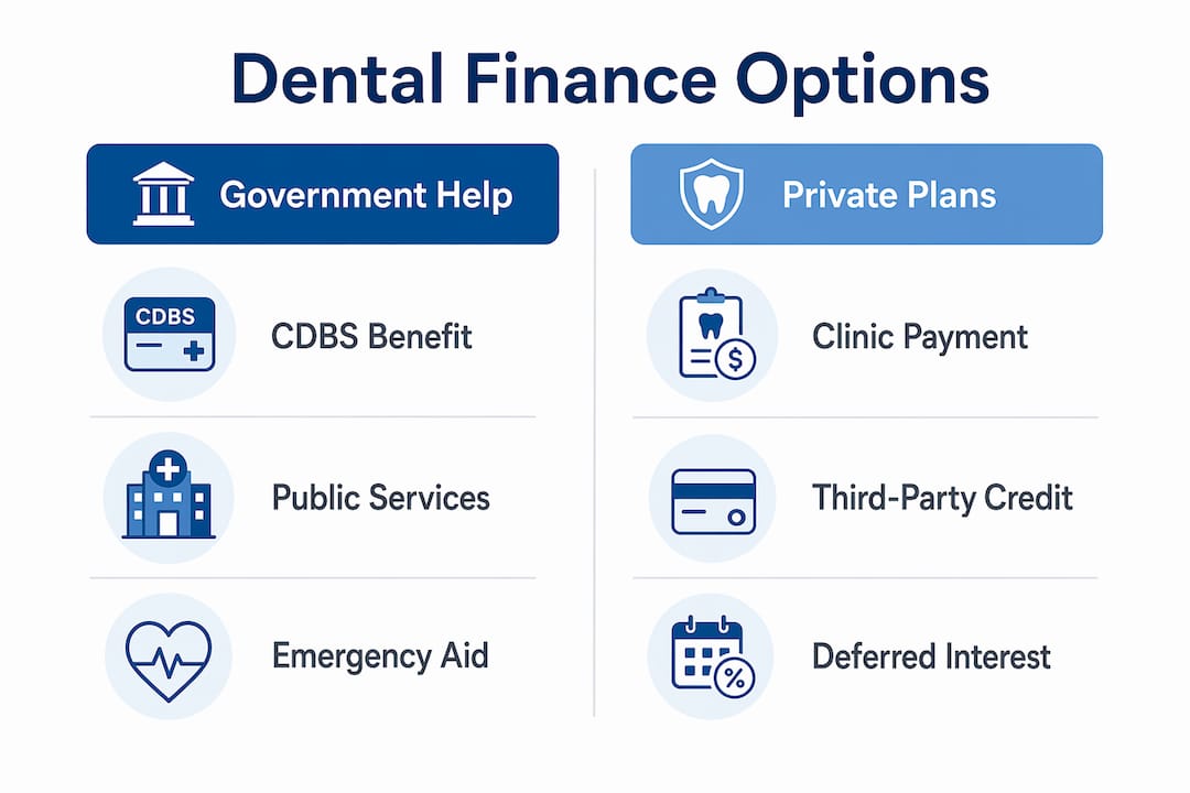 Infographic comparing government and private dental finance options