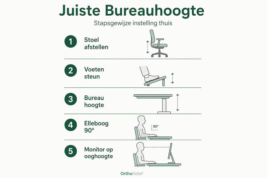 Infographic: in vijf stappen naar de ideale bureauhoogte voor thuiswerken