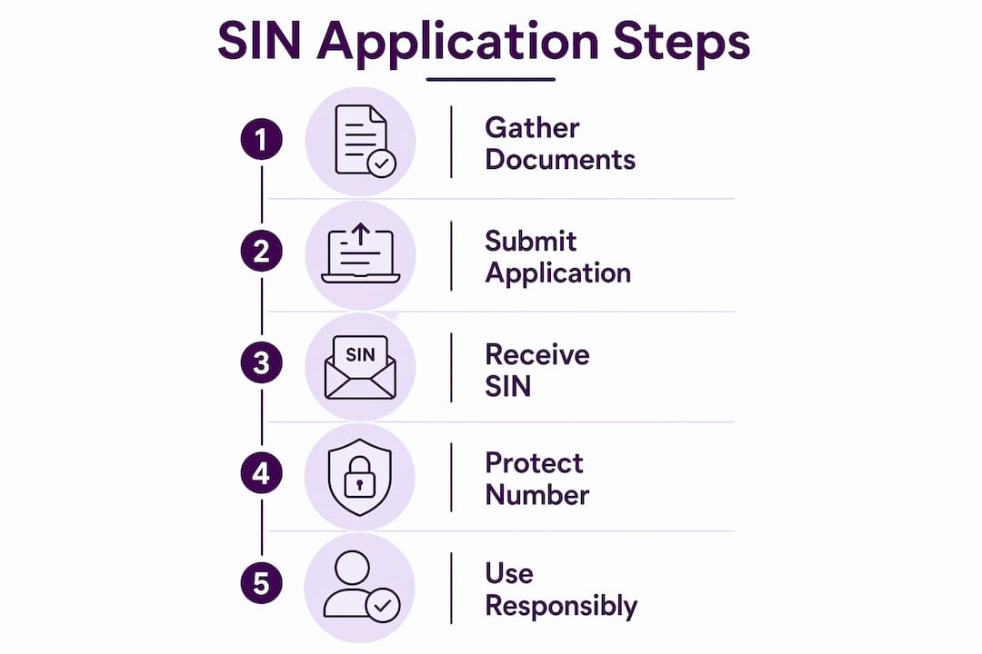 Infographic outlining SIN application process steps