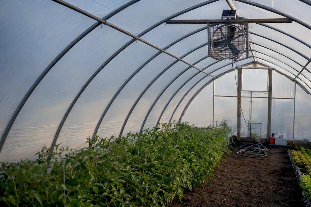 Solar-powered vent fan in hoop house interior