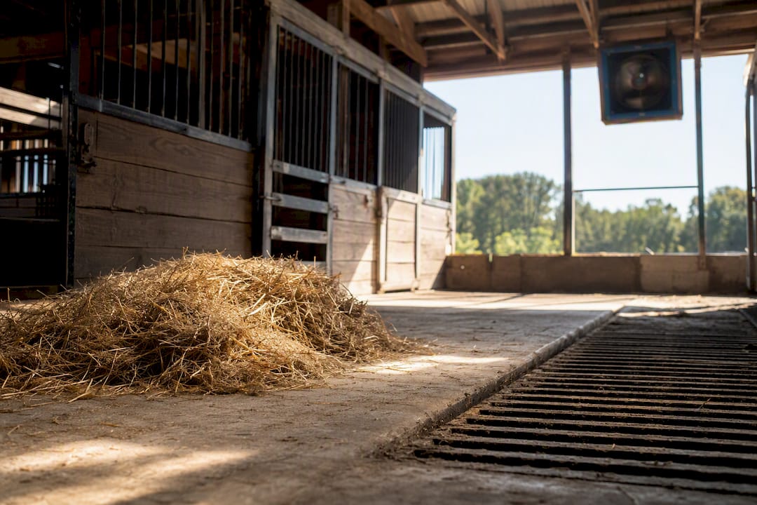Barn interior with solar ventilation and clean bedding