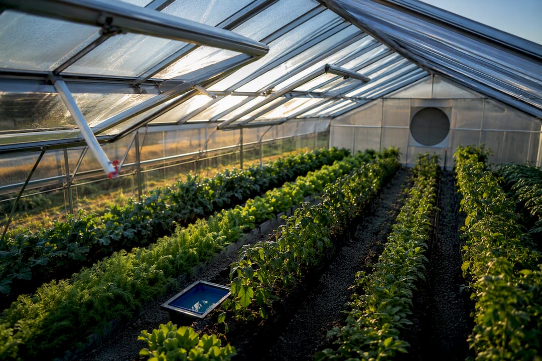 Off-grid greenhouse with open ventilation vents