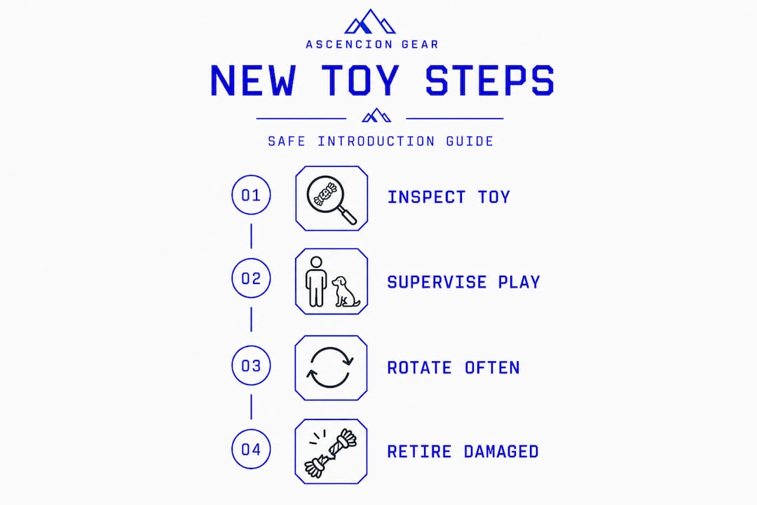 Infographic of steps to introduce dog toys