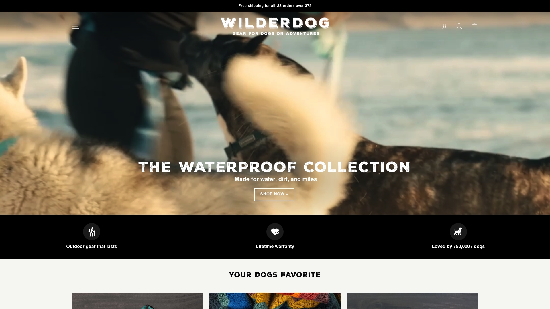 https://wilderdog.com
