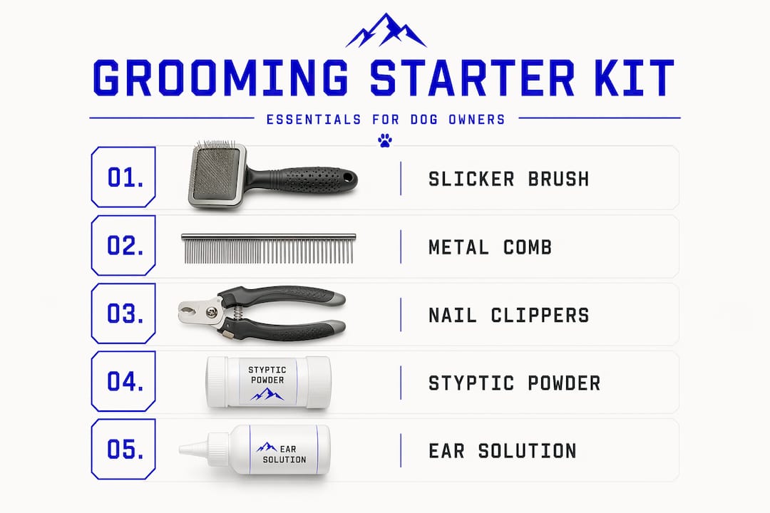 Infographic: essential dog grooming tools in starter kit
