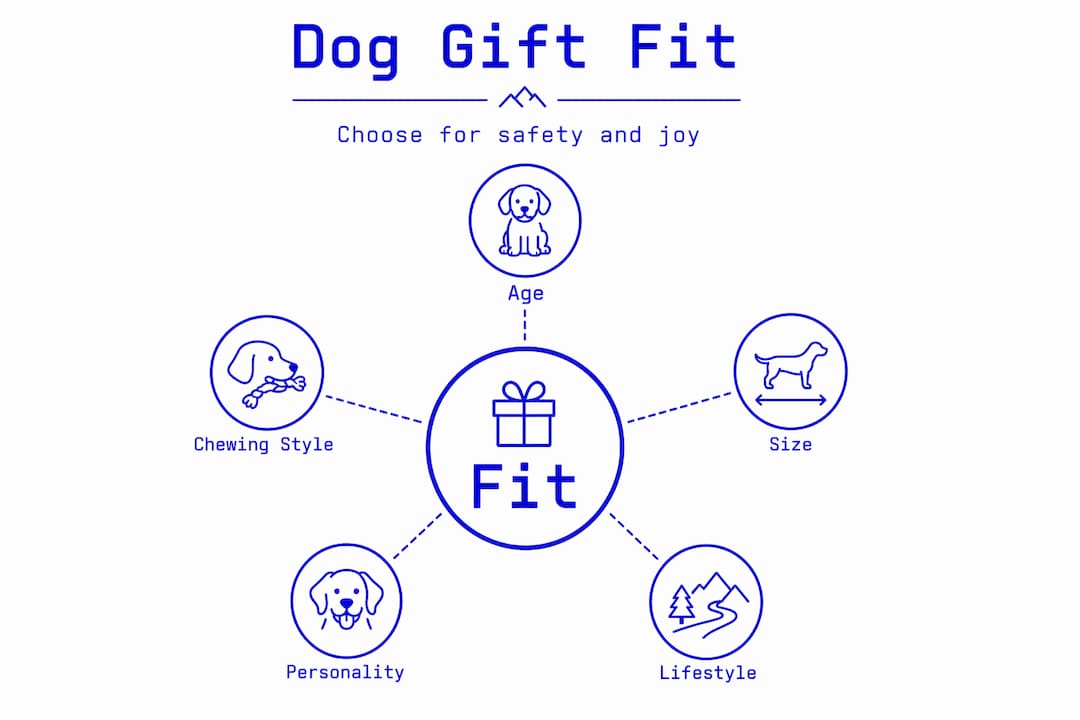 Hierarchy infographic on dog gift selection factors