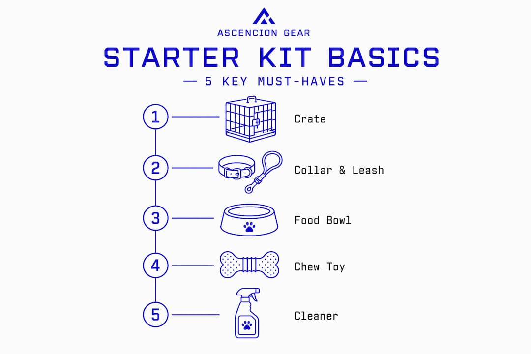 Infographic listing 5 puppy starter kit essentials