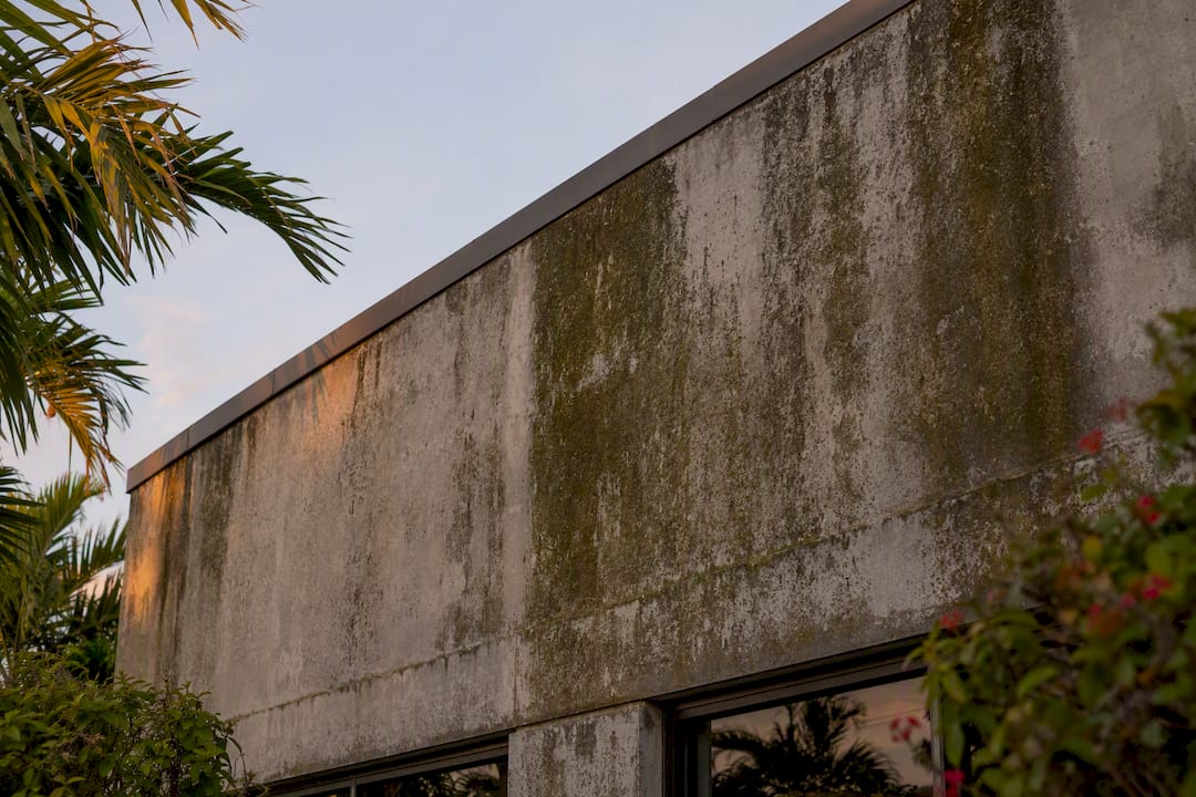 Algae and mold growth on shaded stucco facade