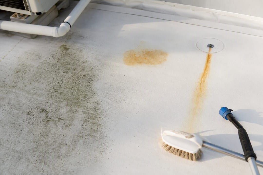 Algae grease and rust on TPO membrane