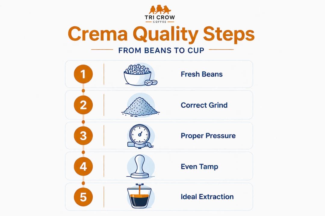 Vertical infographic crema mastery process steps