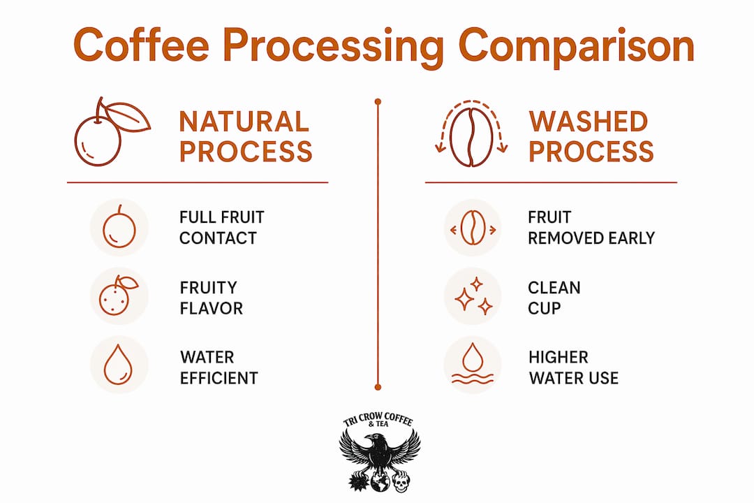 Infographic comparing natural and washed coffee processes
