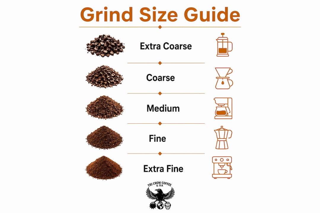 Infographic showing coffee grind size stages