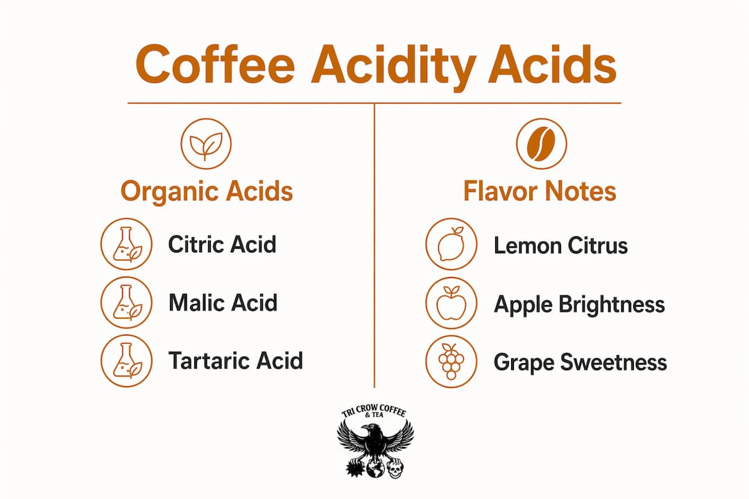 Infographic comparing acids and flavor notes in coffee