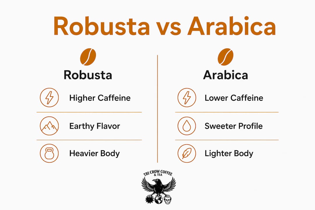 Infographic comparing Robusta and Arabica coffee differences