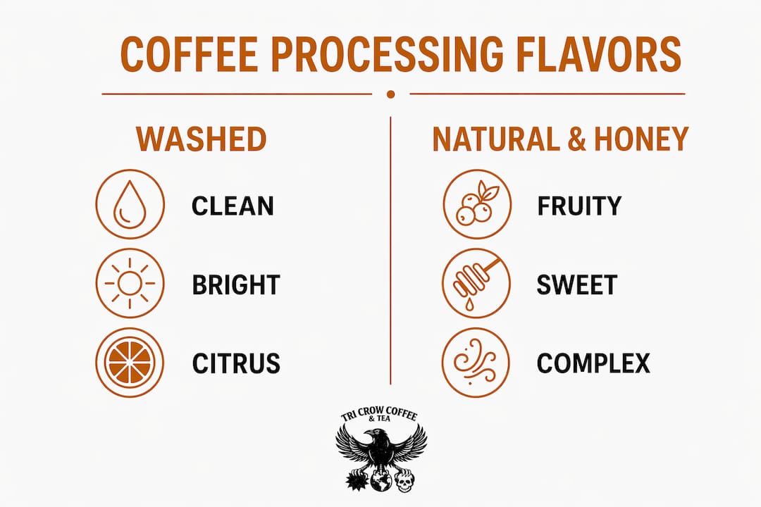 Infographic comparing washed and natural coffee flavors