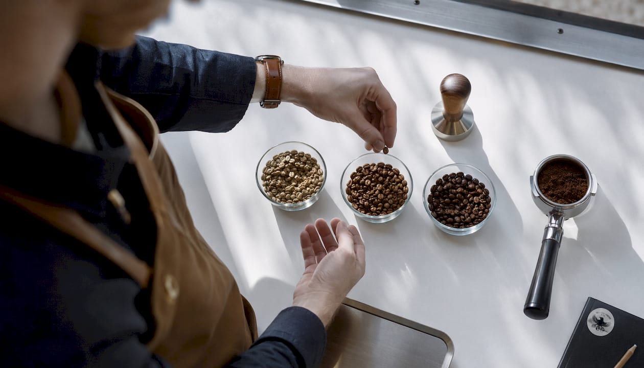 Barista sorting coffee beans by processing type