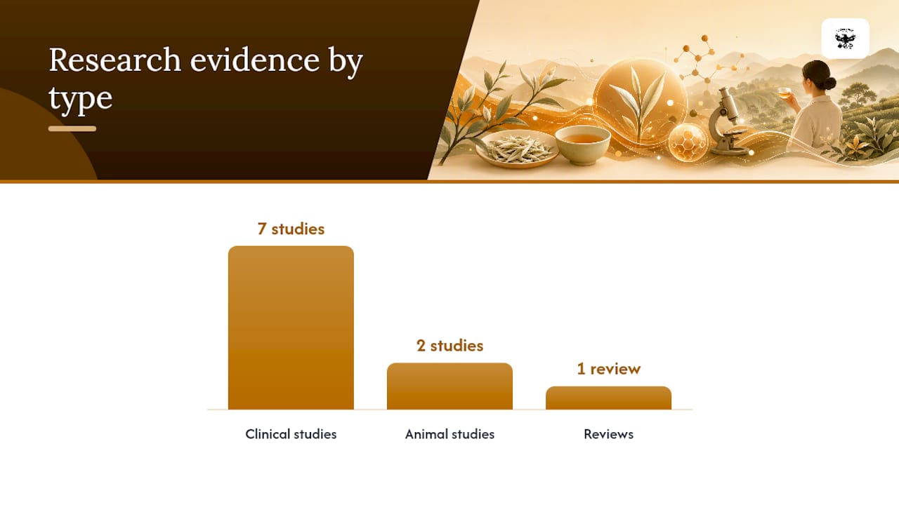 What does the research actually say about white tea's health effects? — overview diagram