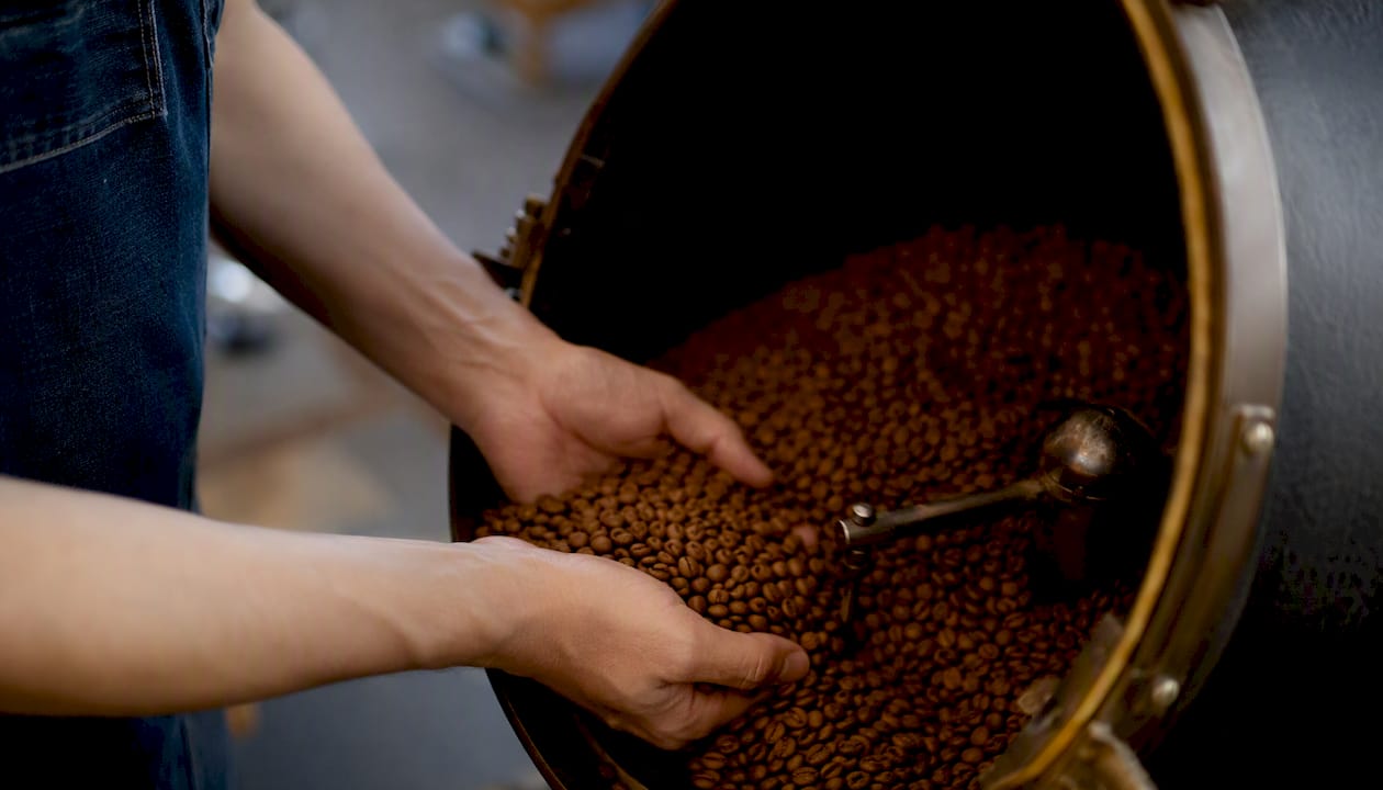 Hands stirring coffee beans in medium-light roast drum roaster