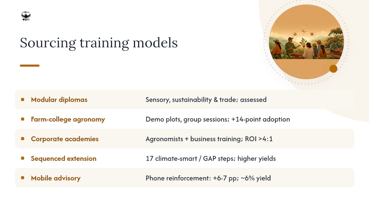 Diagram showing coffee sourcing training program types