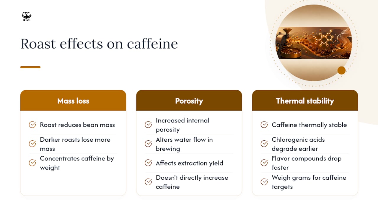 Does Roast Affect Caffeine at the Chemical Level? — overview diagram