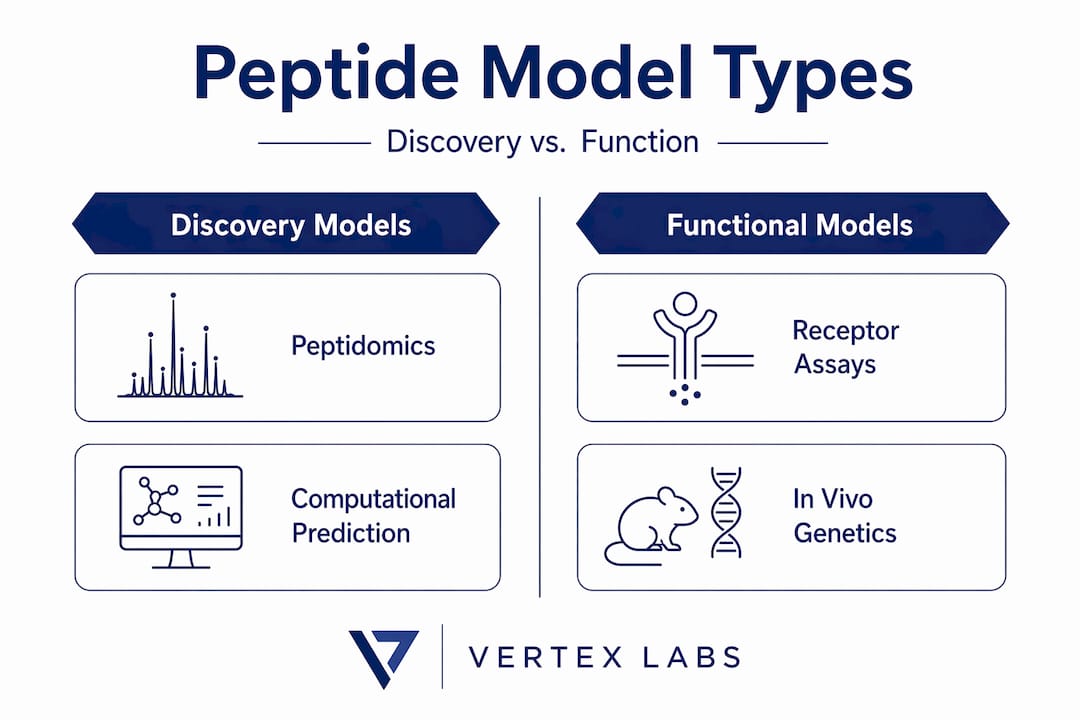 Infographic comparing peptide hormone model types