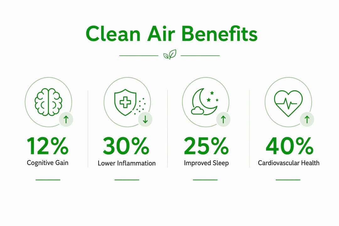Infographic showing clean air health benefits statistics