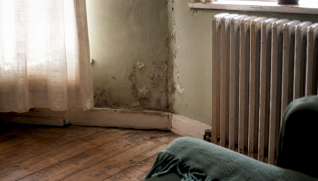 Damp stained plaster and wood interior corner
