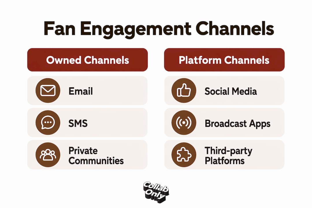 Infographic comparing owned vs platform fan engagement channels