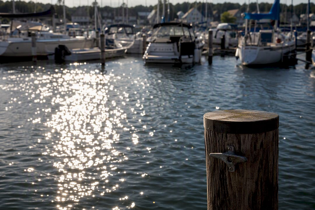 Busy marina dock in summer peak season