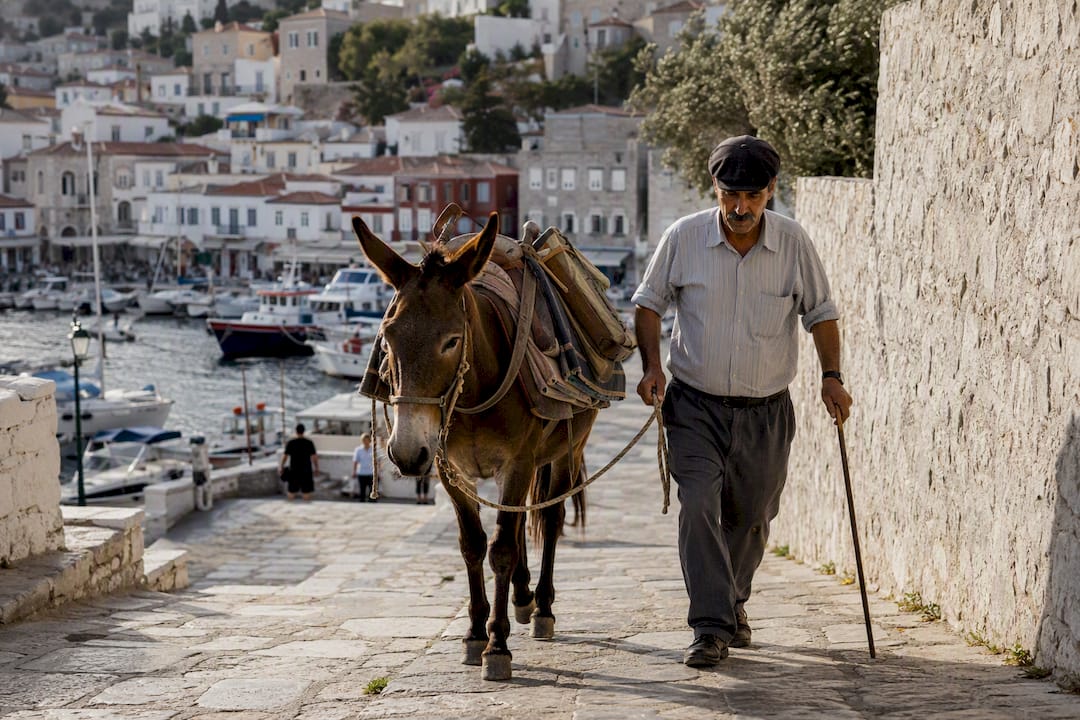 Donkey and handler on Hydra harbor lane