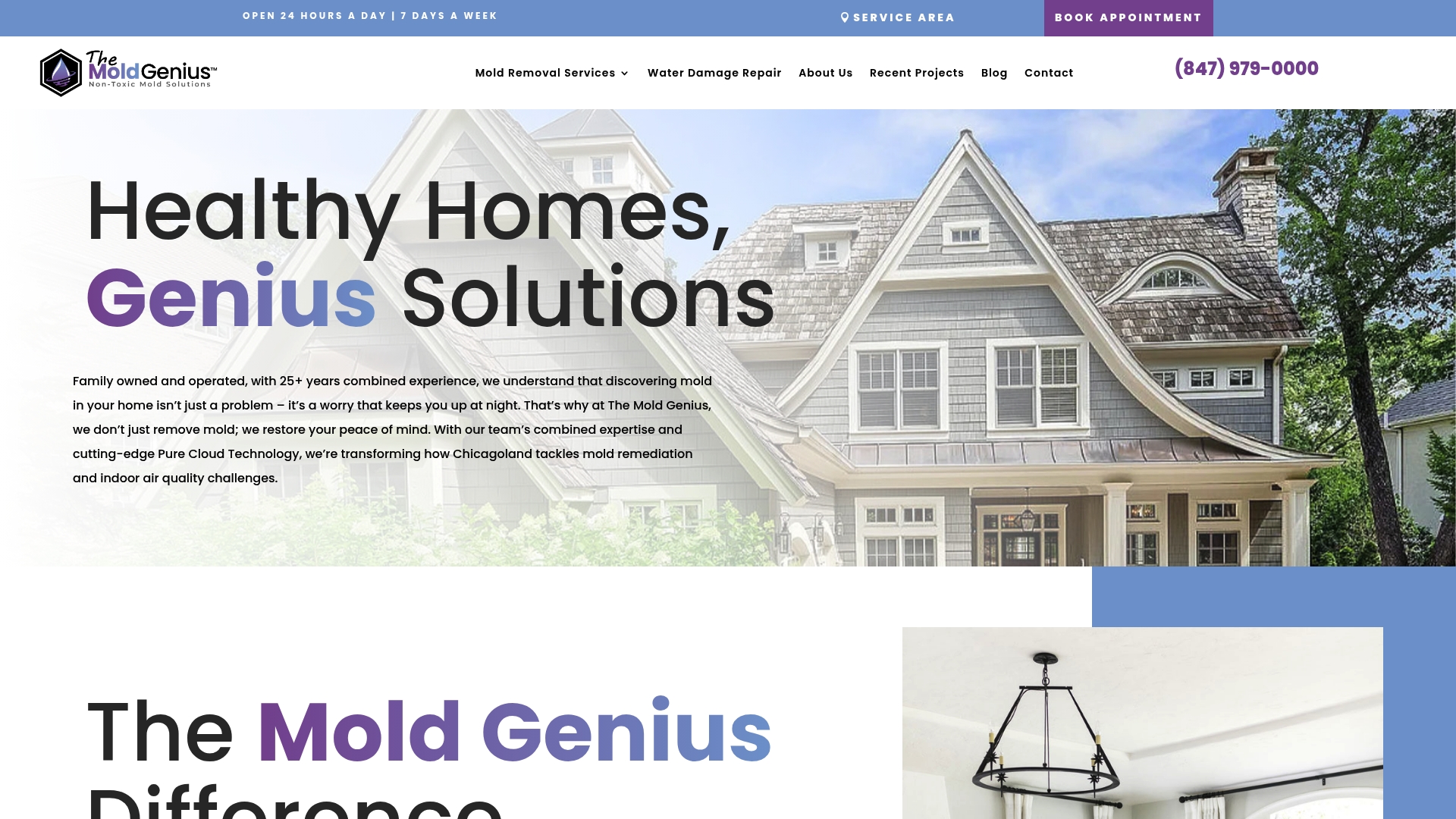 https://themoldgenius.com