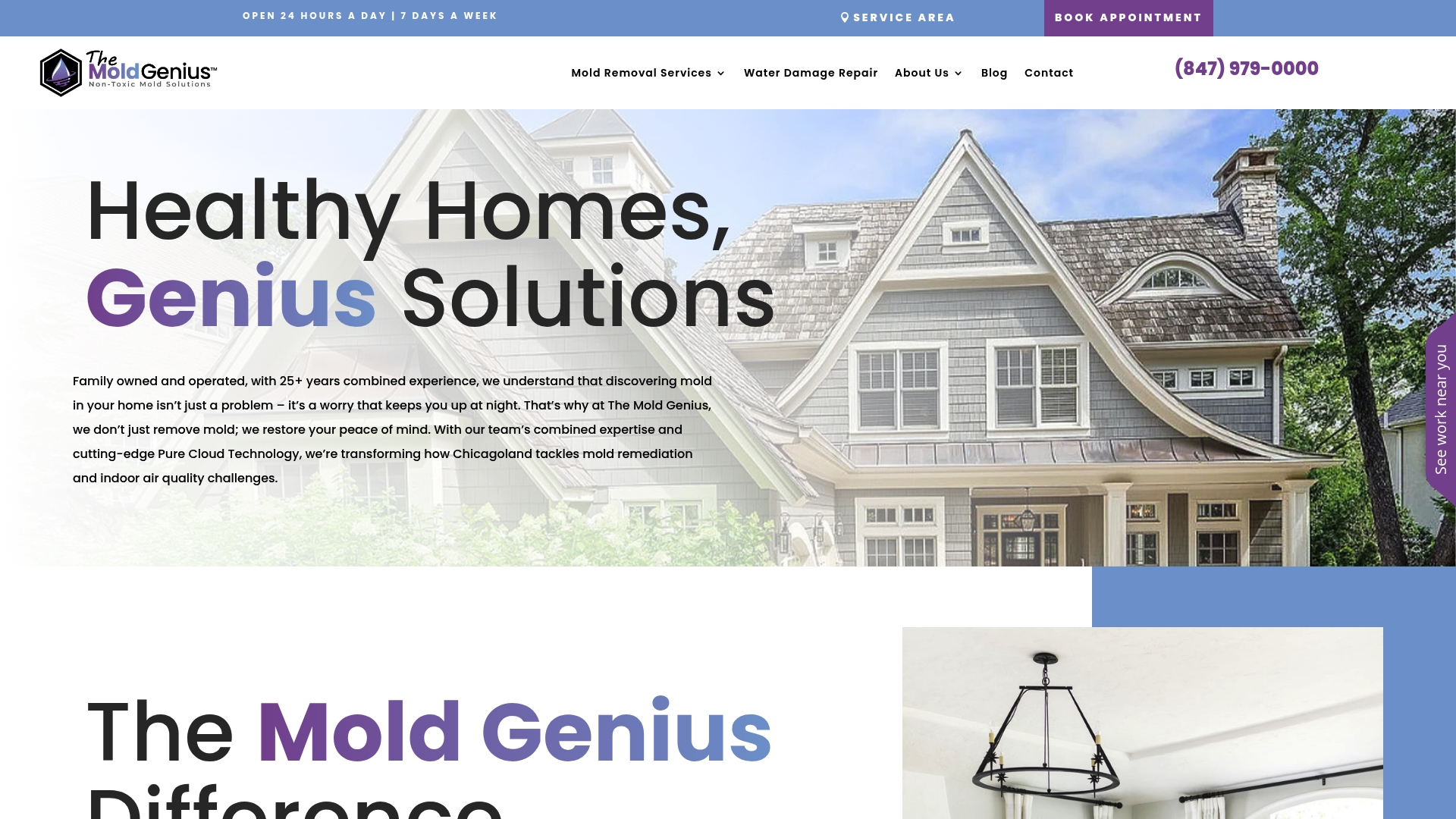 https://themoldgenius.com