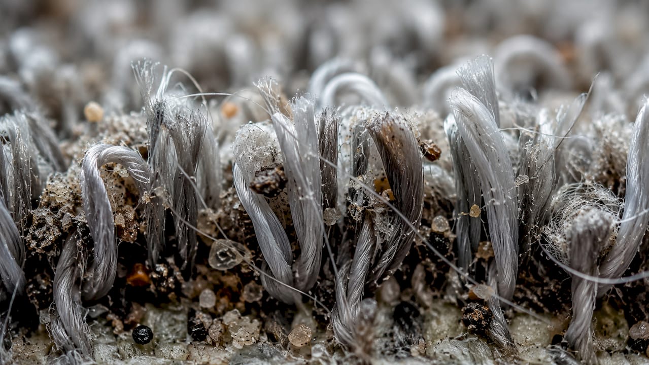 Microscope close-up of carpet fibers with embedded grit