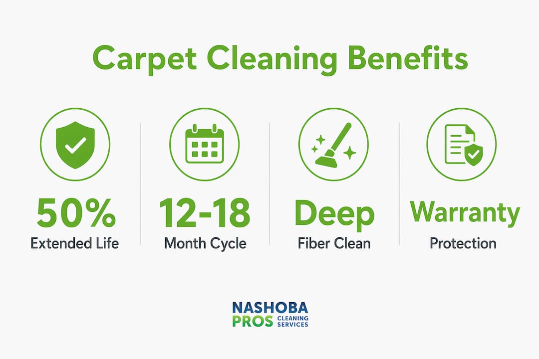 Infographic showing carpet cleaning benefits statistics