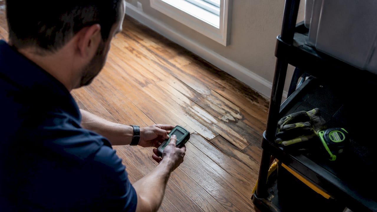 Close-up of moisture meter measuring damaged wood