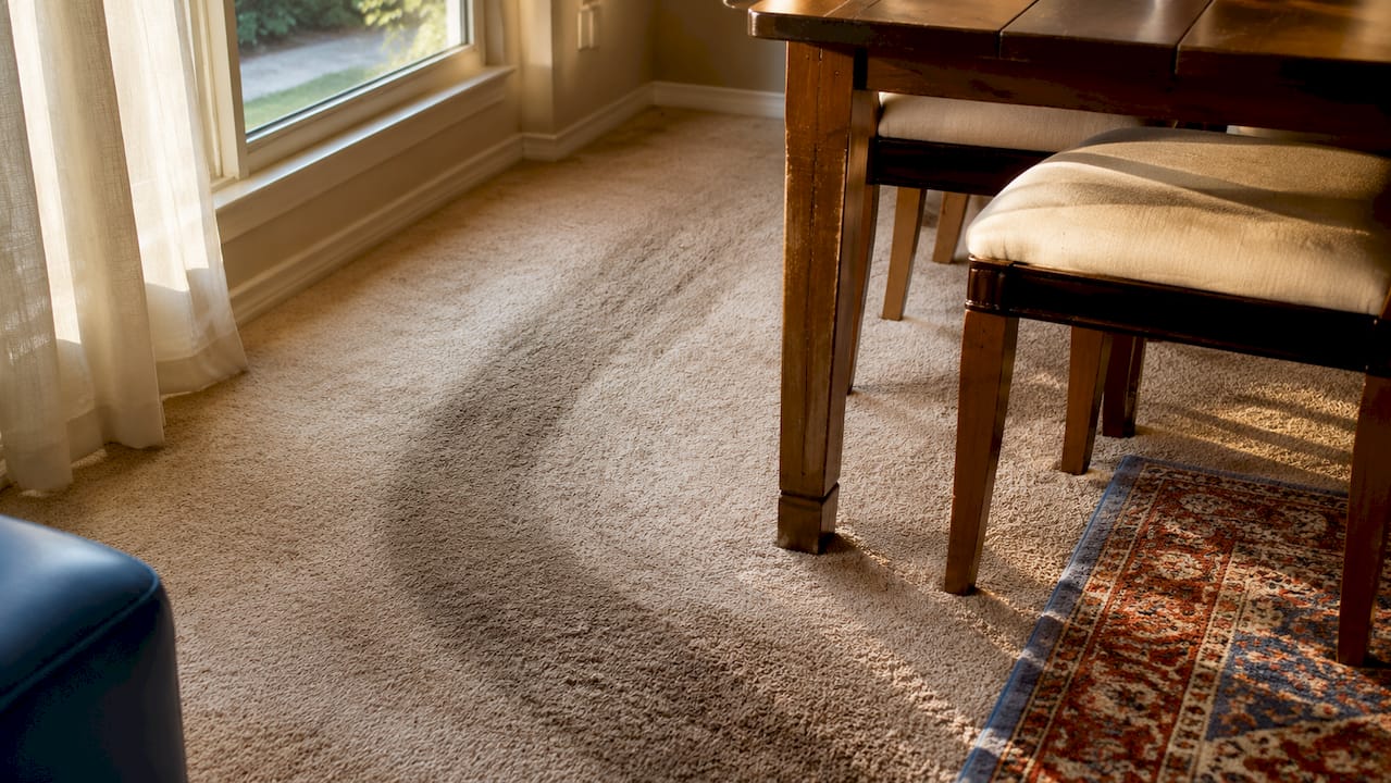 Close-up of darkened carpet traffic lanes