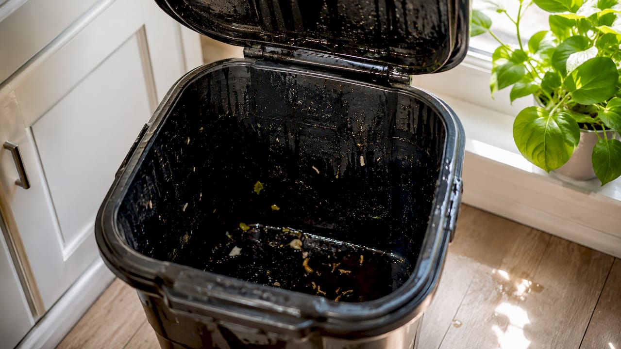 Close-up organic residue inside trash bin
