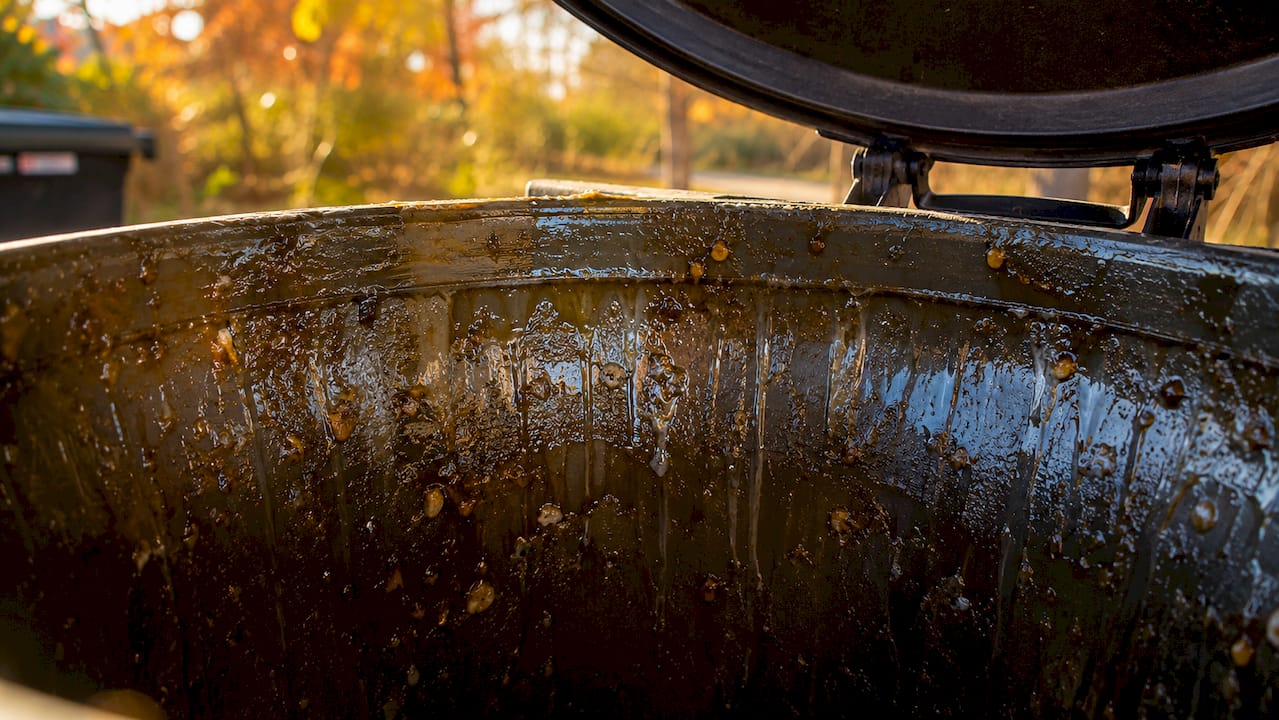 Close-up of biofilm inside trash can
