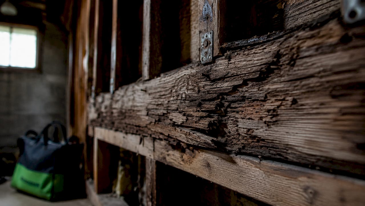Close-up of swollen, cracked water-damaged wood framing