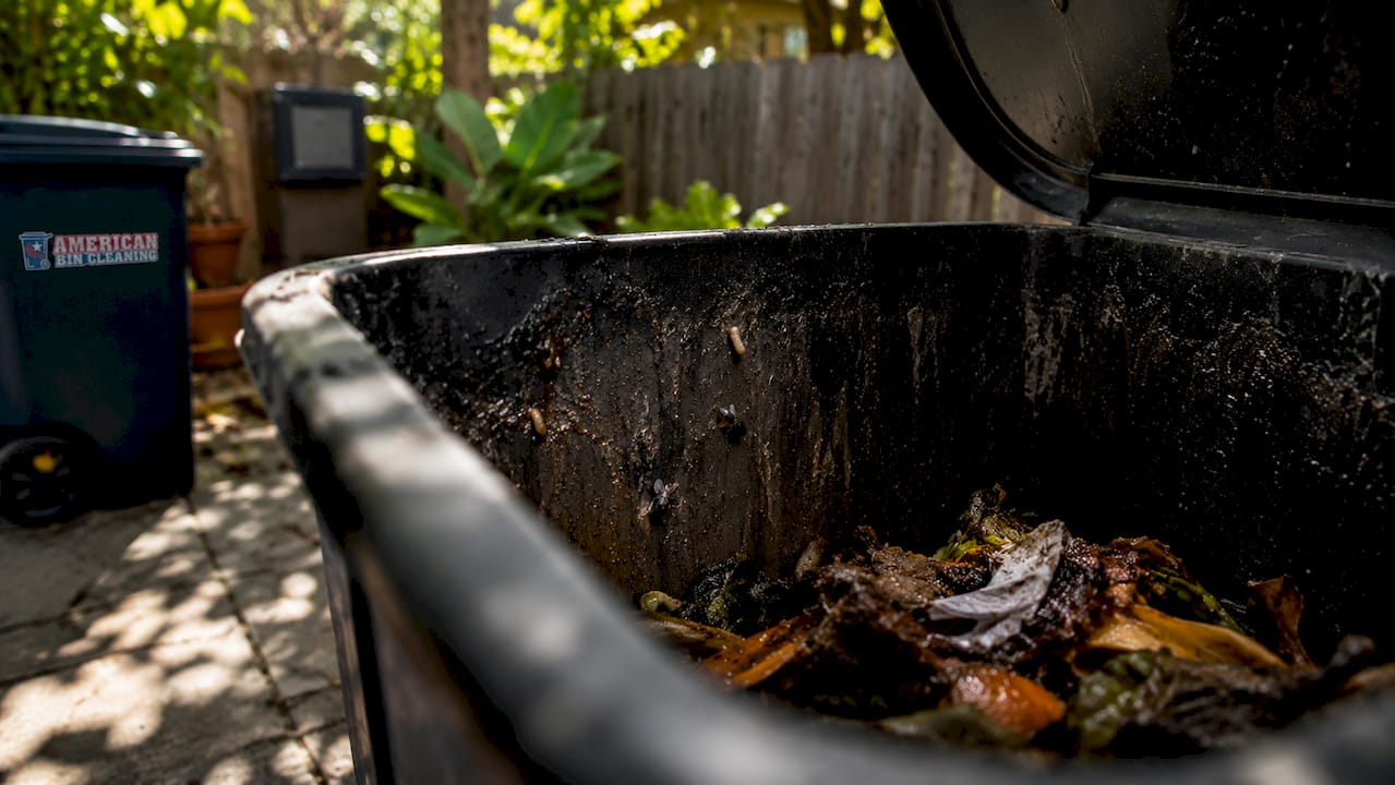 Close-up of biofilm and pests inside trash bin