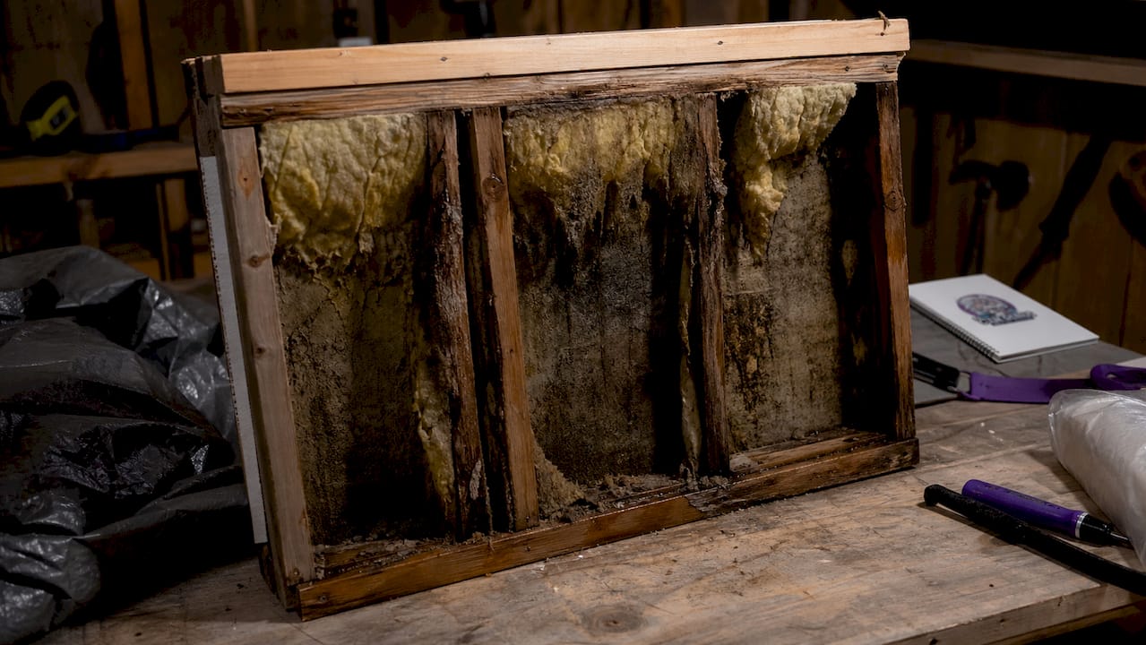 Close-up of wall cavity moisture damage