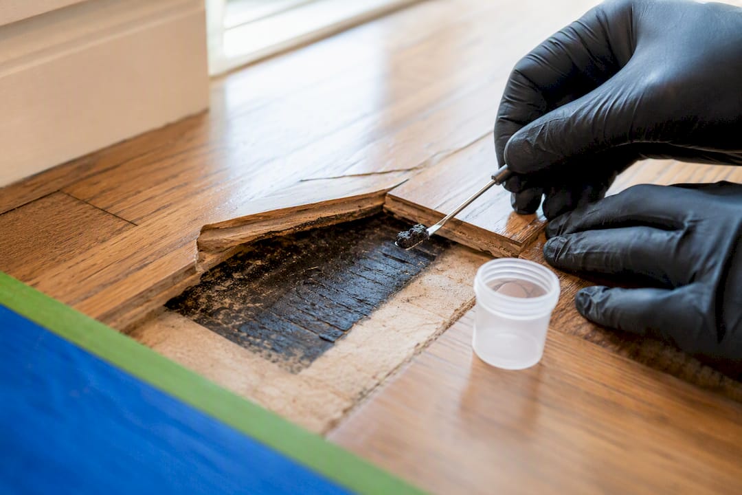 Technician sampling adhesive beneath historic flooring