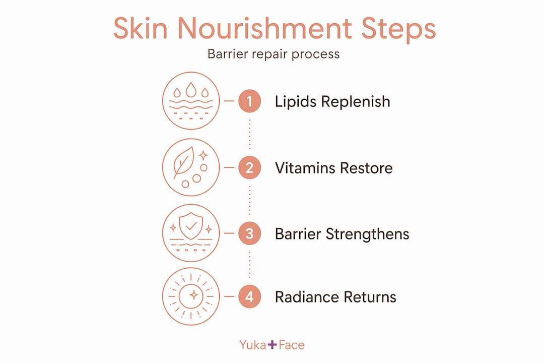 Skin nourishment process infographic steps