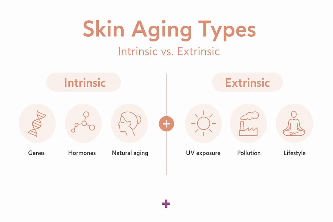 Infographic comparing intrinsic and extrinsic skin aging Infographic comparing intrinsic and extrinsic skin aging