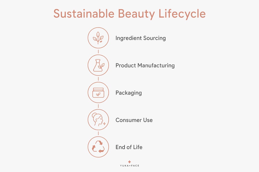 Infographic illustrating sustainable beauty product lifecycle stages