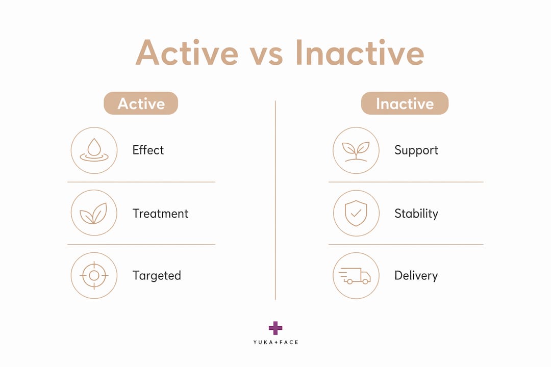 Infographic comparing active and inactive skincare ingredients